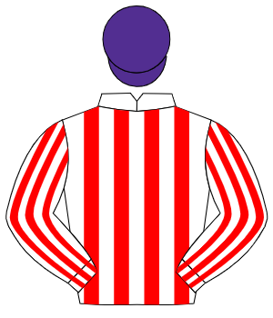 WHITE & RED STRIPES, purple cap