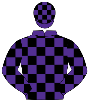 PURPLE & BLACK CHECK