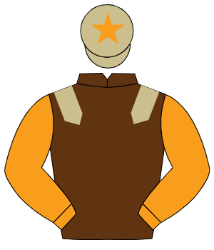 BROWN, beige epaulettes, orange sleeves, beige cap, orange star