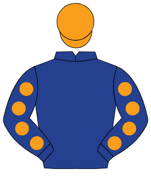 DARK BLUE, orange spots on sleeves, orange cap