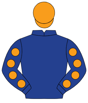 DARK BLUE, orange spots on sleeves, orange cap