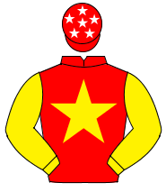 RED, yellow star & sleeves, red cap, white stars                                                                                                      