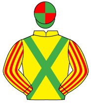 YELLOW,emerald green cross sashes,red striped sleeves,green & red quartered cap                                                                       