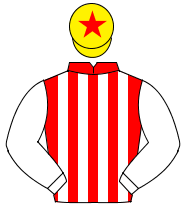 RED & WHITE STRIPES, white sleeves, yellow cap, red star                                                                                              