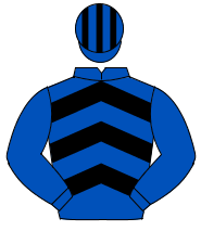 ROYAL BLUE & BLACK CHEVRONS, royal blue sleeves, striped cap                                                                                          