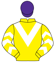 YELLOW, white chevron & chevrons on sleeves, purple cap                                                                                               