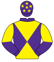 PURPLE & YELLOW DIABOLO, halved sleeves, purple cap, yellow stars                                                                                     