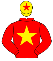 RED, yellow star, yellow cap, red star                                                                                                                