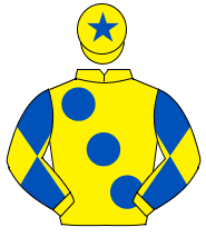 YELLOW, large royal blue spots, diabolo on sleeves, yellow cap, royal blue star                                                                       