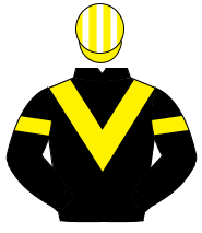 BLACK, yellow chevron & armlet, yellow & white striped cap                                                                                            