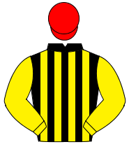 BLACK & YELLOW STRIPES, yellow sleeves, red cap                                                                                                       