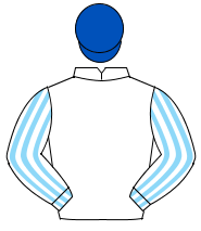 WHITE, light blue striped sleeves, royal blue cap                                                                                                     