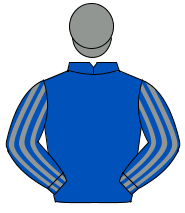 ROYAL BLUE, grey striped sleeves, grey cap