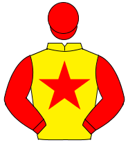 YELLOW, red star, sleeves & cap                                                                                                                       