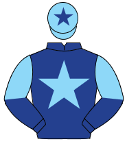 DARK BLUE, light blue star, halved sleeves, light blue cap, dark blue star                                                                            