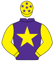 PURPLE, yellow star & sleeves, yellow cap, purple stars                                                                                               