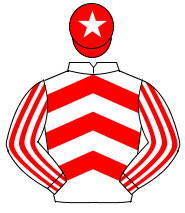 WHITE & RED CHEVRONS, striped sleeves, red cap, white star                                                                                            