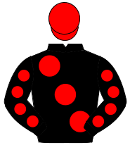 BLACK, large red spots, red spots on sleeves, red cap                                                                                                 