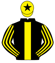 BLACK, yellow panel, striped sleeves, yellow cap, black star                                                                                          