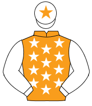 ORANGE, white stars, white sleeves, white cap, orange star                                                                                            