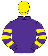 PURPLE, purple & yellow hooped sleeves, yellow cap                                                                                                    