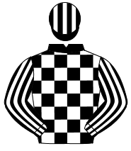 BLACK & WHITE CHECK, striped sleeves & cap                                                                                                            
