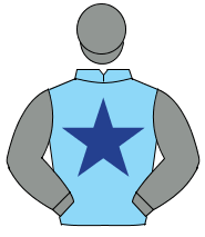 LIGHT BLUE, dark blue star, grey sleeves & cap                                                                                                        
