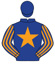 DARK BLUE, orange star, striped sleeves, dark blue cap                                                                                                