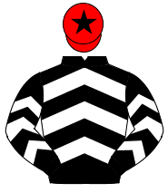 BLACK & WHITE CHEVRONS, red cap, black star                                                                                                           