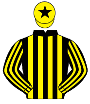 BLACK & YELLOW STRIPES, yellow cap, black star                                                                                                        