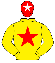 YELLOW, red star, red cap, white star                                                                                                                 