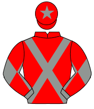 RED, grey cross sashes, grey sleeves, red diabolo, red cap, grey star                                                                                 