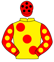 YELLOW, large red spots, red sleeves, yellow spots, red cap, black spots                                                                              
