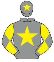 GREY, yellow star, diabolo on sleeves, yellow star on cap                                                                                             