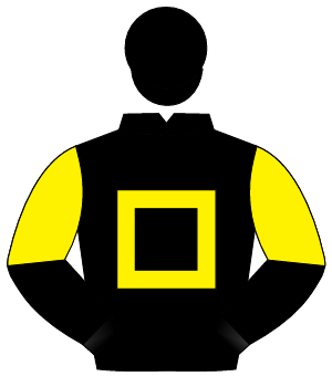 BLACK, yellow hollow box, halved sleeves, black cap                                                                                                   