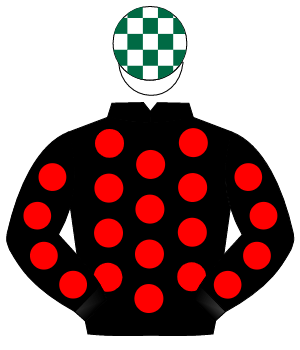 BLACK, red spots, white & dark green check cap                                                                                                        