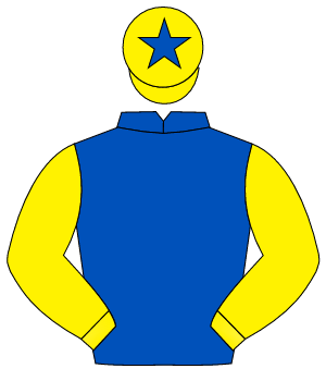 ROYAL BLUE, yellow sleeves, yellow cap, royal blue star                                                                                               