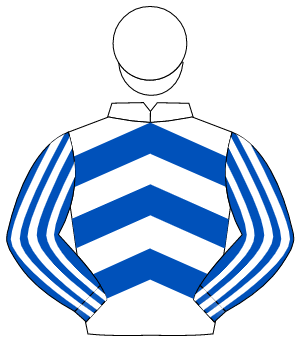 WHITE & ROYAL BLUE CHEVRONS, royal blue & white striped sleeves, white cap                                                                            