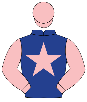DARK BLUE, pink star & sleeves, pink cap                                                                                                              