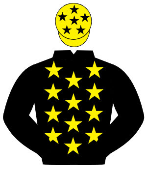 BLACK, yellow stars, black sleeves, yellow cap, black stars                                                                                           