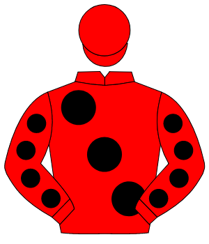 RED, large black spots, black spots on sleeves, red cap                                                                                               