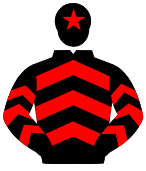 BLACK & RED CHEVRONS, red star on cap                                                                                                                 