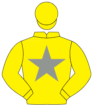 YELLOW, grey star, yellow cap