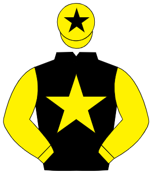 BLACK, yellow star & sleeves, yellow cap, black star