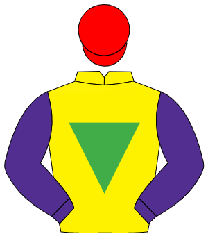 YELLOW, emerald green inverted triangle, purple sleeves, red cap