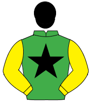 EMERALD GREEN, black star, yellow sleeves, black cap                                                                                                  