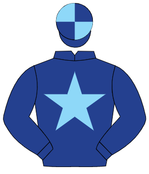 DARK BLUE, light blue star, quartered cap