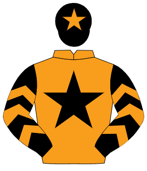 ORANGE, black star, black sleeves, orange chevrons, black cap, orange star