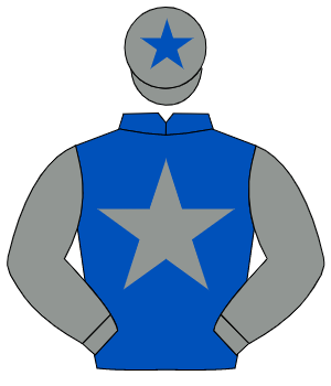 ROYAL BLUE, grey star & sleeves, grey cap, royal blue star