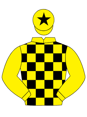 YELLOW & BLACK CHECK, yellow sleeves, black star on cap